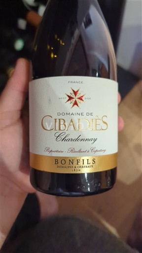Linguadoca e Rossiglione Paese d'Oc Domaine Cibadiès Chardonnay Senza annata