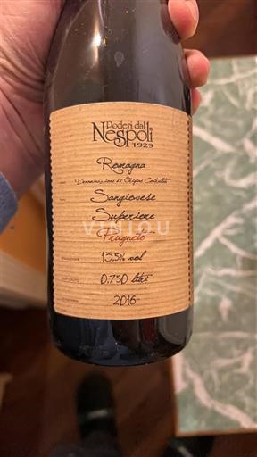Emilia-Romagna Không được chỉ định Poderi dal Nespoli Fazzuolo 2016