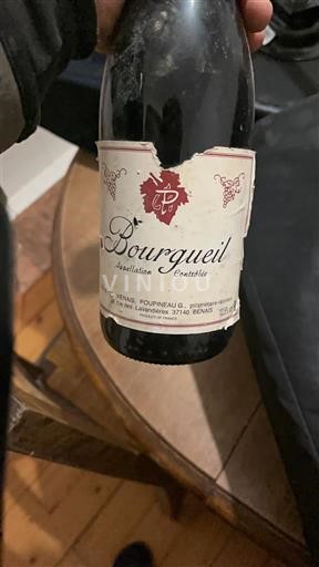 Loiredalen Bourgueil Domaine Poupineau Icke årgångsbetecknad