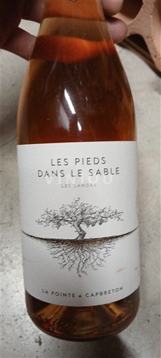 Sudoeste No especificado La Pointe à Capbreton Les Pieds Dans Le Sable Sin añada