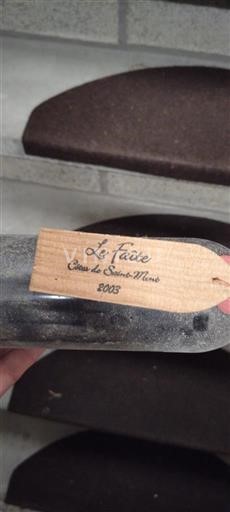 Lounais-Ranska Saint-Mont Le Faite du Saint-Mont 2003