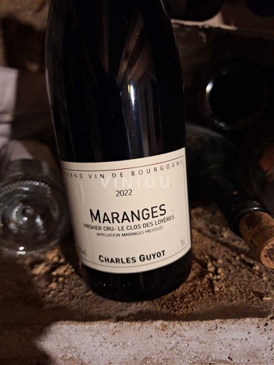 Bourgogne Maranges Premier Cru Charles Guyot Premier Cru - Le Clos des Loyères 2022