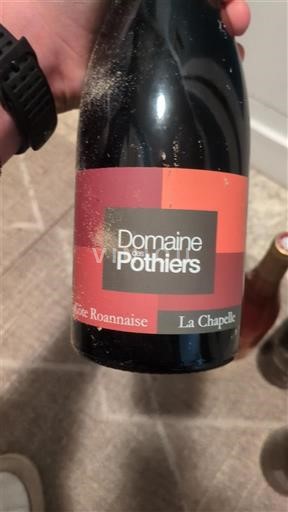 Valle della Loira Côte-roannaise Domaine S Pothiers La Chapelle 2022