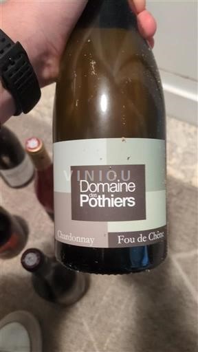 Valle della Loira Côte-roannaise Domaine S Pothiers Fou de Chêne 2022