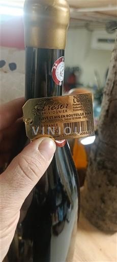 Valle della Loira Vienna Louis Tête Trésor Viognier Senza annata