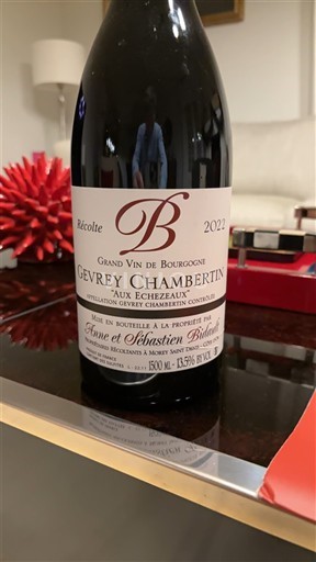 Borgogna Gevrey-Chambertin Arnaud et Sébastien Bidault Aux Echezeaux 2022