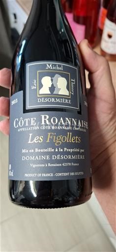 Loire Valley Côte Roannaise Domaine Désormière Les Figollets 2023