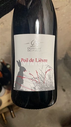 Loiredalen Anjou Domaine S Forges Poil de Lièvre Icke årgångsbetecknad