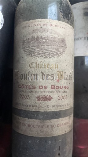 Burdeos Côtes-de-bourg Château Moulin des Plains 2003