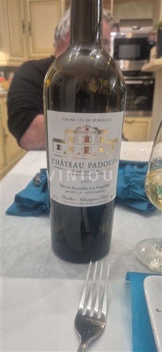 Burdeos Bordeaux superior Château Padouën 2021