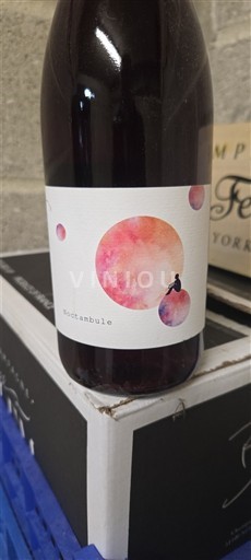 Valle del Loira Saumur Domaine Bobinet Forcambule 2022