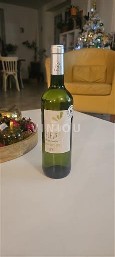 Bordeaux Les Vignerons Réunis Fleur un peu beaucoup 2024