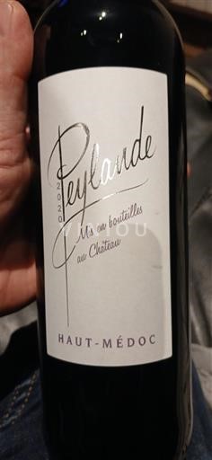 Burdeos Haut-Médoc Château Peylarde 2020