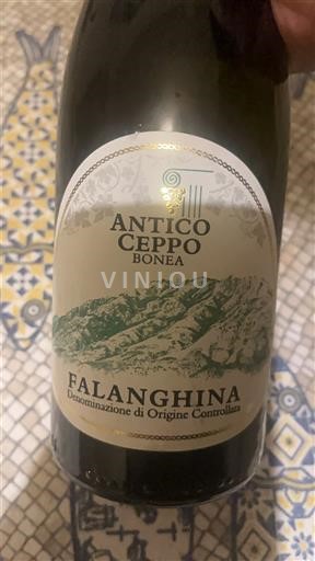Campania Falanghina del Sannio Antico Ceppo Bonea Senza annata