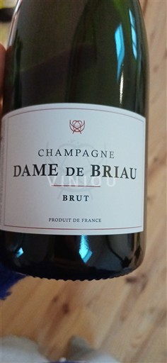 Champaña Champán Dame de Briau Sin añada