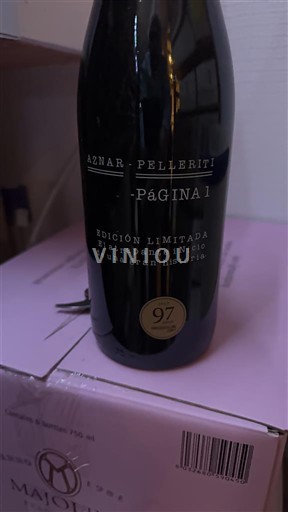 Mendoza Aznar-Pellegriti Página 1 2018