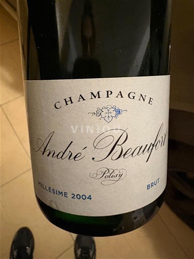 Champagne André Beaufort Polisy 2004