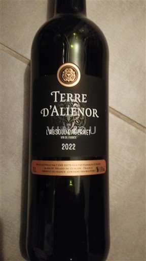 Sudoeste Não especificado Terre d'Alienor L'Absolu Cabernet 2022