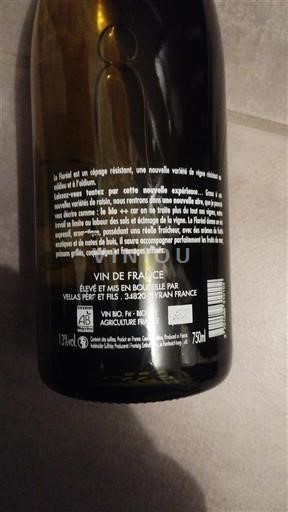 Sudoeste Não especificado Viellas Père et Fils 2022