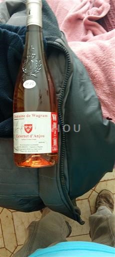 Valle della Loira Cabernet d'Anjou Domaine Wagram 2024