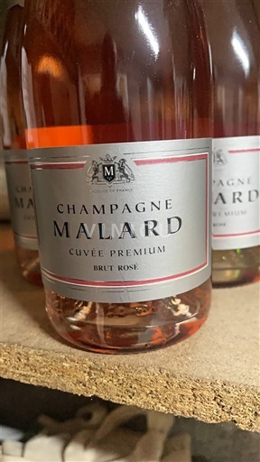 Šampanja Šampanjec Malard Premium Neleten.