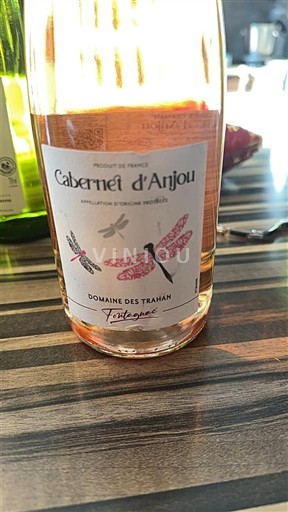 Valle della Loira Cabernet d'Anjou Domaine S Trahan Fontenay Senza annata