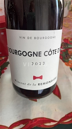 Burgundija Bourgogne zlata obala Vincent de la Remondière 2023