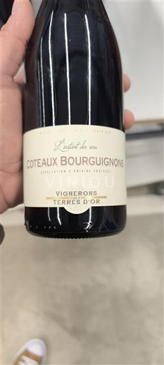 Burgundy Coteaux Bourguignons Vignerons Terres d'Or L'Instant des Vins Non-Vintage