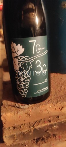 Alpes và các vùng Rhodanien Urfé Le Clos du Chozieux 70 Gamay 30 2024