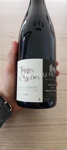 Vale do Loire Saumur-champigny Domaine S Roches Neuves Terres Chaudes 2019