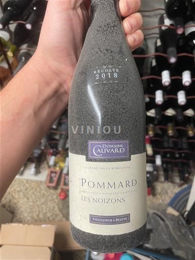 Rượu vang Rouge sec Les Noizons Domaine Cauvard 2018 Pháp Bourgogne Pommard AOC