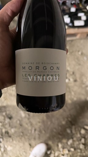 Beaujolais Morgon Domaine Boischampt Les Charmes 2023