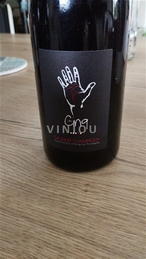 Víno Rouge sec Cinq 2015 Francie Údolí Loiry Saumur-Champigny AOC