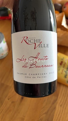 Vale do Loire Saumur-champigny Domaine Rocheville Les Hauts de Bourreau 2012