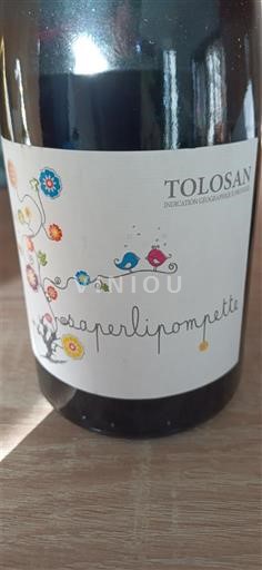 Lounais-Ranska Comté Tolosan Vignobles Gayrel Pasperlipompette 2023