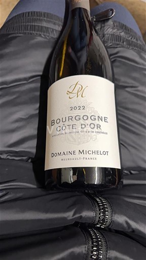 Viner Rouge sec Domaine Michelot 2022 Frankrike Bourgogne Bourgogne Côte d'Or AOC