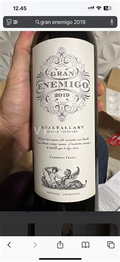 Mendoza Non specificato Gran Enemigo Gualtallary Single Vineyard 2019