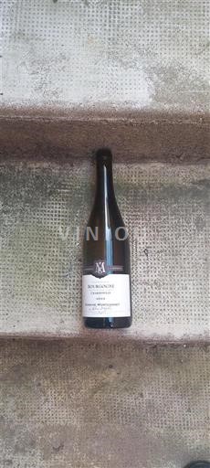 Wines Blanc sec Domaine Montchavet Non millésimé France Burgundy Burgundy Chardonnay AOC