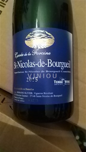 Viinit Rouge sec Cuvée de la Forcine Domaine Olivier 2015 Ranska Loiren laakso Saint-Nicolas-De-Bourgueil AOC