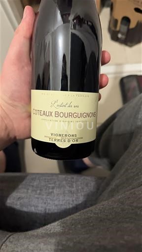 Burgundy Coteaux Bourguignons Vignerons Terres d'Or L'atelier des vins 2023