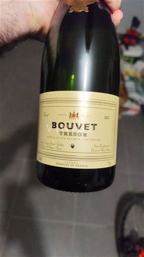 Mousserande viner Blanc brut Trésor Bouvet 2022 Frankrike Loiredalen Saumur AOC