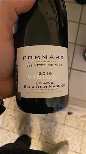 Vine Rouge sec Les Petits Noizons Domaine Sébastien Magnien 2016 Frankrig Bourgogne Pommard AOC