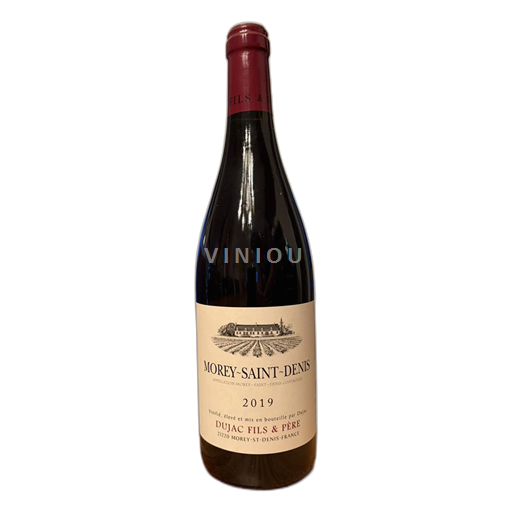 Wines Rouge sec Morey-Saint-Denis Djuac Fils et Père 2019 France Burgundy Morey-Saint-Denis AOC