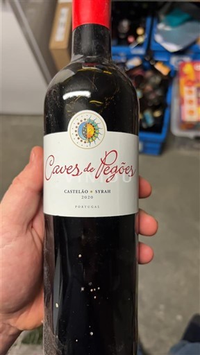 Península de Setúbal Caves de Pegões Castelão & Syrah 2020