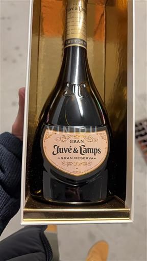 Каталонія Кава Juvé & Camps Gran Reserva 2017
