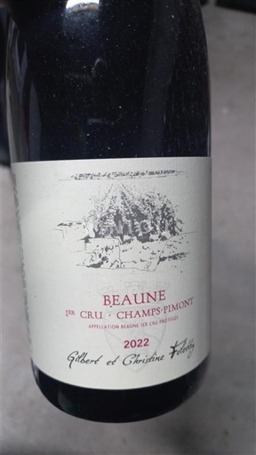 Vine Rouge sec Champs-Pimont Gilbert et Christine Felettig 2022 Frankrig Bourgogne Beaune AOC Premier Cru