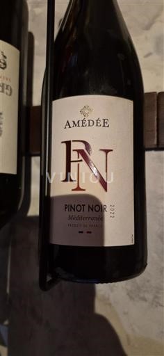 Provence, hạ lưu Rhône, Corse Địa Trung Hải Amédée Pinot Noir 2022