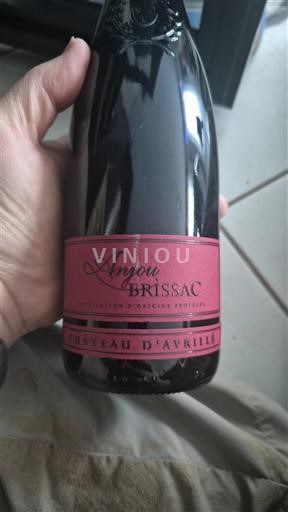 Vina Rouge sec Château Avrillé 2023 Francija Dolina Loare Ni doloceno AOC