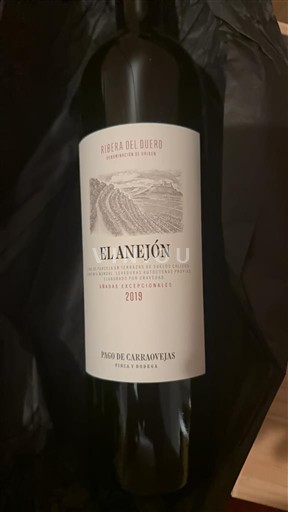 Castilien og León Ribera del Duero Pago de Carraovejas El Anejón 2019