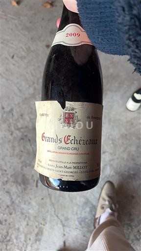 Bourgogne Grands-échézeaux Grand Cru Domaine Jean-Marc Millot 2009